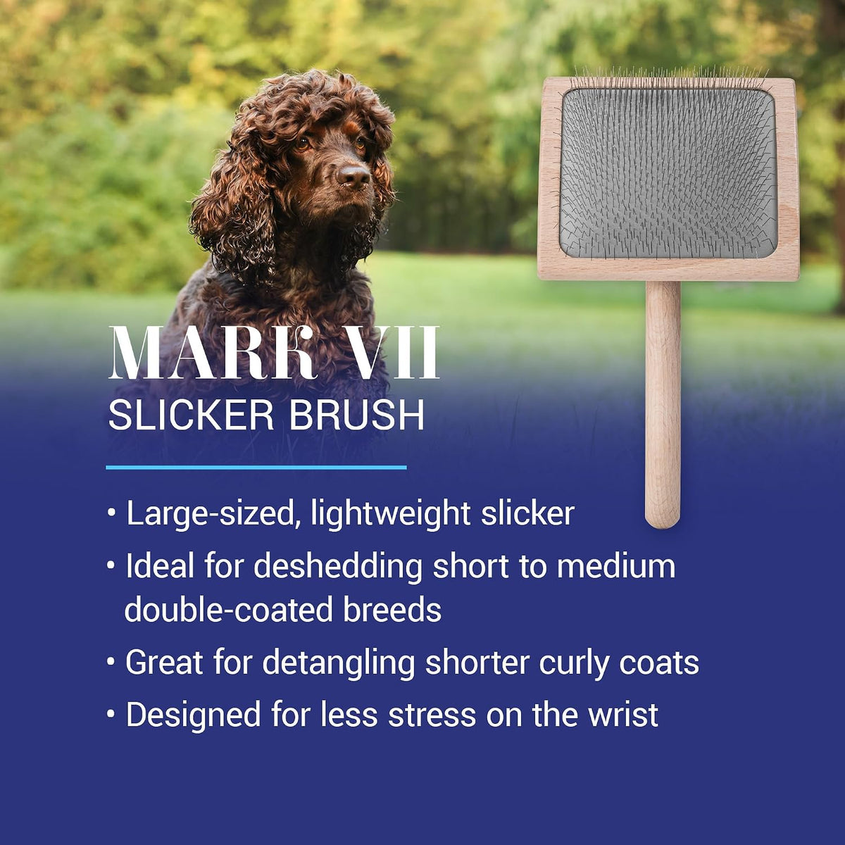 Mark I Slicker Brush for Dogs, 12mm Pins, Groom Like a Pro, Handcrafted Lightweight Beechwood Ergonomic Handle, Stainless Steel Pins, A5I X-Small. Made in Germany.