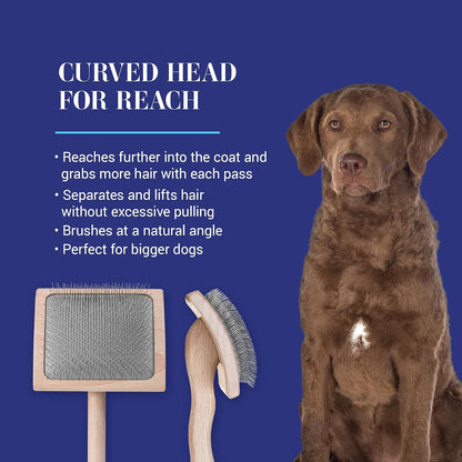 Mark I Slicker Brush for Dogs, 12mm Pins, Groom Like a Pro, Handcrafted Lightweight Beechwood Ergonomic Handle, Stainless Steel Pins, A5I X-Small. Made in Germany.