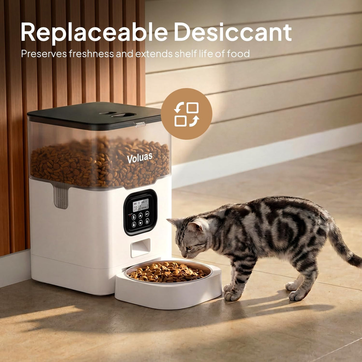 Automatic Cat Feeder, 4L Timed Dry Food Dispenser for Cats & Dogs