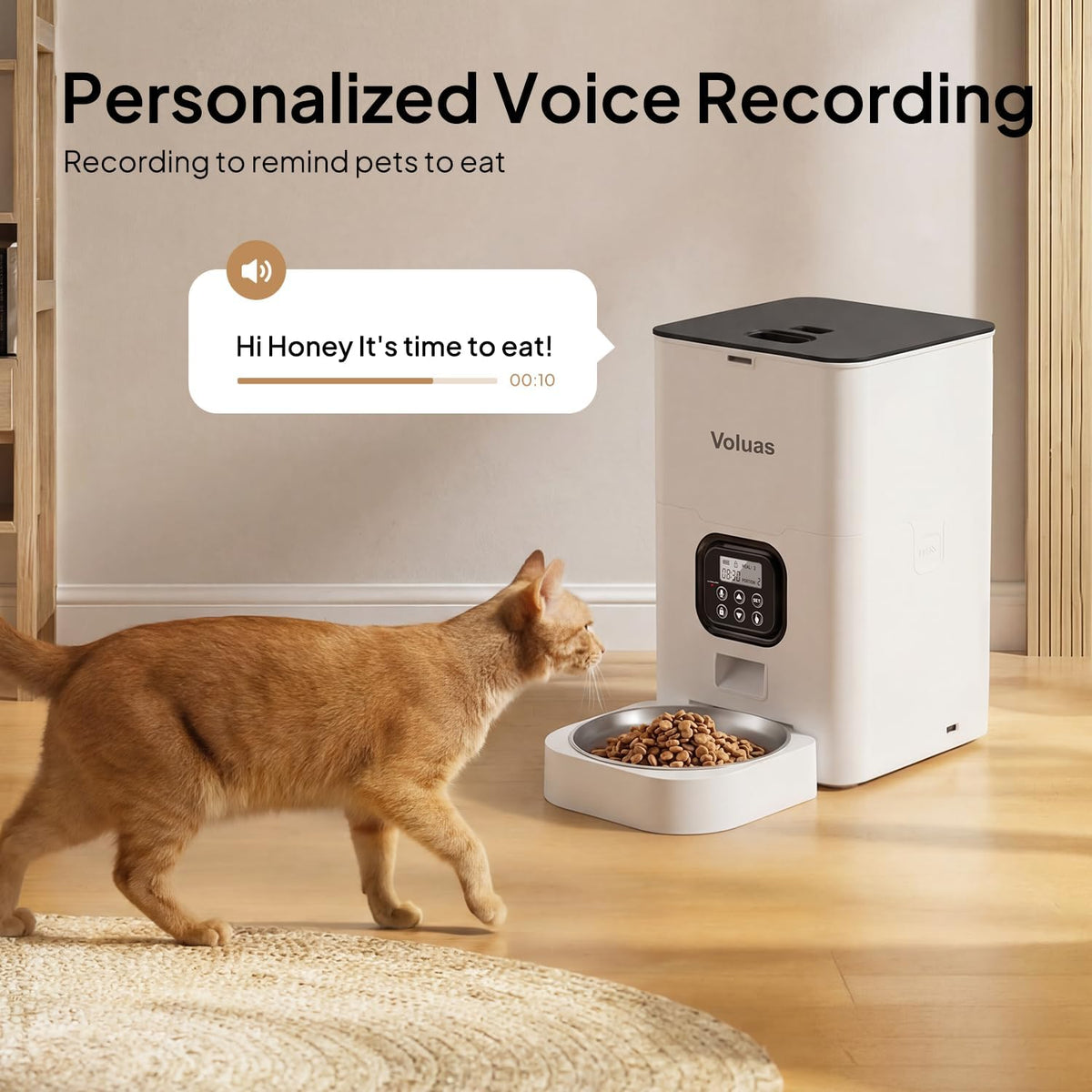 Automatic Cat Feeder, 4L Timed Dry Food Dispenser for Cats & Dogs