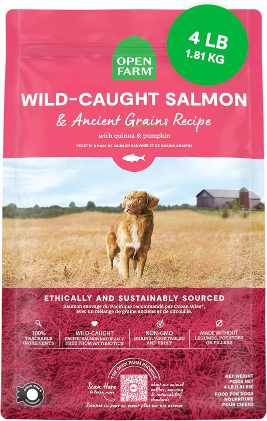 Ancient Grains Dry Dog Food, Wild Caught Salmon Kibble, 4lb Bag