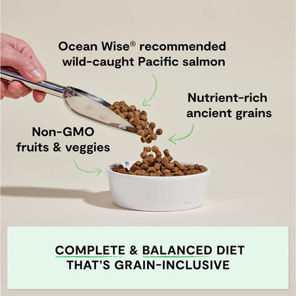 Ancient Grains Dry Dog Food, Wild Caught Salmon Kibble, 4lb Bag