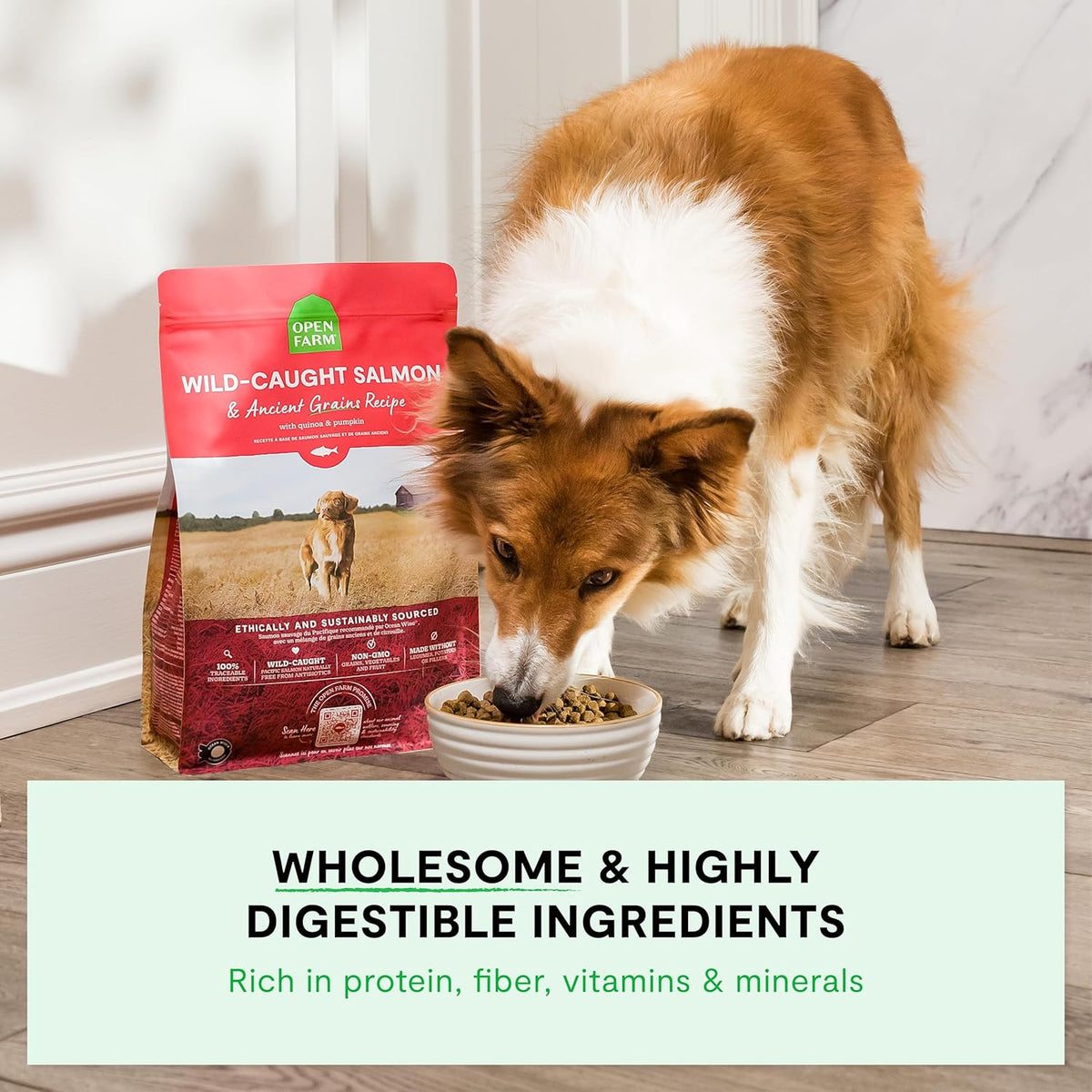 Ancient Grains Dry Dog Food, Wild Caught Salmon Kibble, 4lb Bag