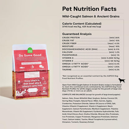 Ancient Grains Dry Dog Food, Wild Caught Salmon Kibble, 4lb Bag