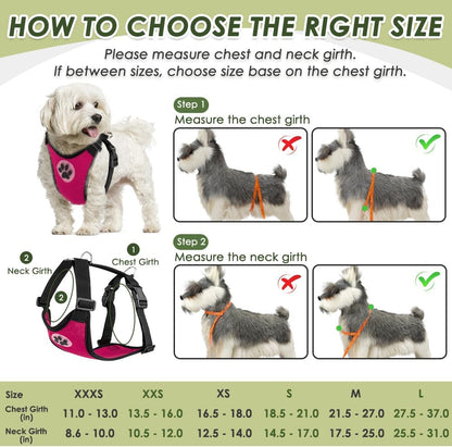 Dog Seat Belt Harness for Car, Dog Car Harness & Seatbelt, FU M | Adjustable Mesh Breathable Harness & Dog Seatbelt Safety Tether with Elastic Bungee & Double Clips for Small Medium Large Pet