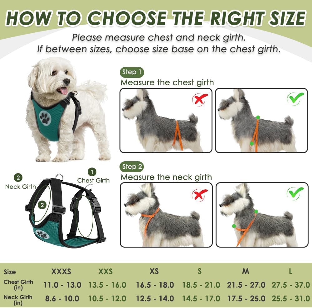 Dog Seat Belt Harness for Car, Dog Car Harness & Seatbelt, FU M | Adjustable Mesh Breathable Harness & Dog Seatbelt Safety Tether with Elastic Bungee & Double Clips for Small Medium Large Pet