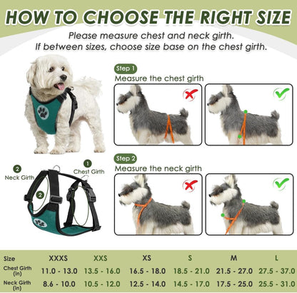 Dog Seat Belt Harness for Car, Dog Car Harness & Seatbelt, FU M | Adjustable Mesh Breathable Harness & Dog Seatbelt Safety Tether with Elastic Bungee & Double Clips for Small Medium Large Pet