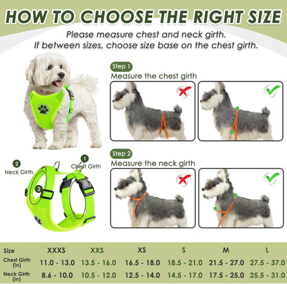 Dog Seat Belt Harness for Car, Dog Car Harness & Seatbelt, FU M | Adjustable Mesh Breathable Harness & Dog Seatbelt Safety Tether with Elastic Bungee & Double Clips for Small Medium Large Pet