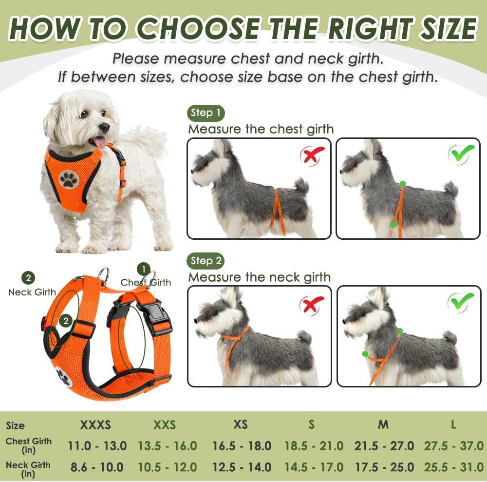 Dog Seat Belt Harness for Car, Dog Car Harness & Seatbelt, FU M | Adjustable Mesh Breathable Harness & Dog Seatbelt Safety Tether with Elastic Bungee & Double Clips for Small Medium Large Pet