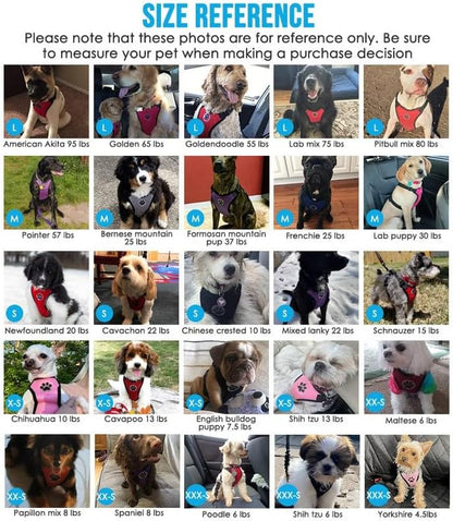 Dog Seat Belt Harness for Car, Dog Car Harness & Seatbelt, FU M | Adjustable Mesh Breathable Harness & Dog Seatbelt Safety Tether with Elastic Bungee & Double Clips for Small Medium Large Pet