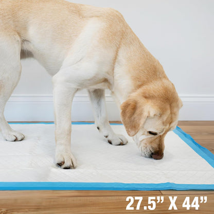 Wee-Wee Superior Performance Pee Pads for Dogs with Runoff Barrier Edge Guard Protection, Puppy & Dog Potty Training Pads, Housebreaking Pet Supplies, 27.5" x 44"