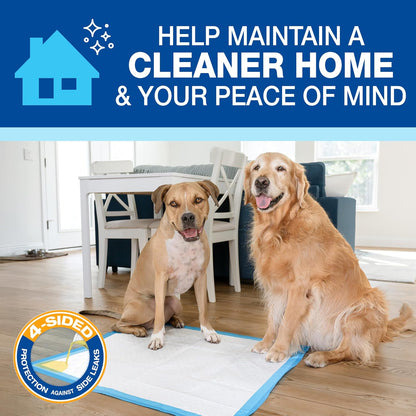 Wee-Wee Superior Performance Pee Pads for Dogs with Runoff Barrier Edge Guard Protection, Puppy & Dog Potty Training Pads, Housebreaking Pet Supplies, 27.5" x 44"
