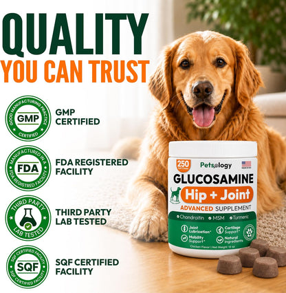 Glucosamine for Dogs - 250 Chews with Chondroitin, Hip and Joint Supplement