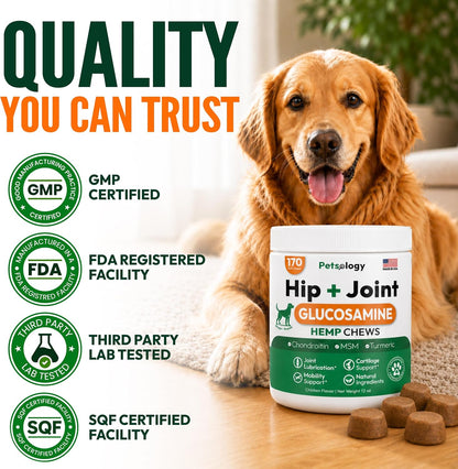 Glucosamine for Dogs - 250 Chews with Chondroitin, Hip and Joint Supplement