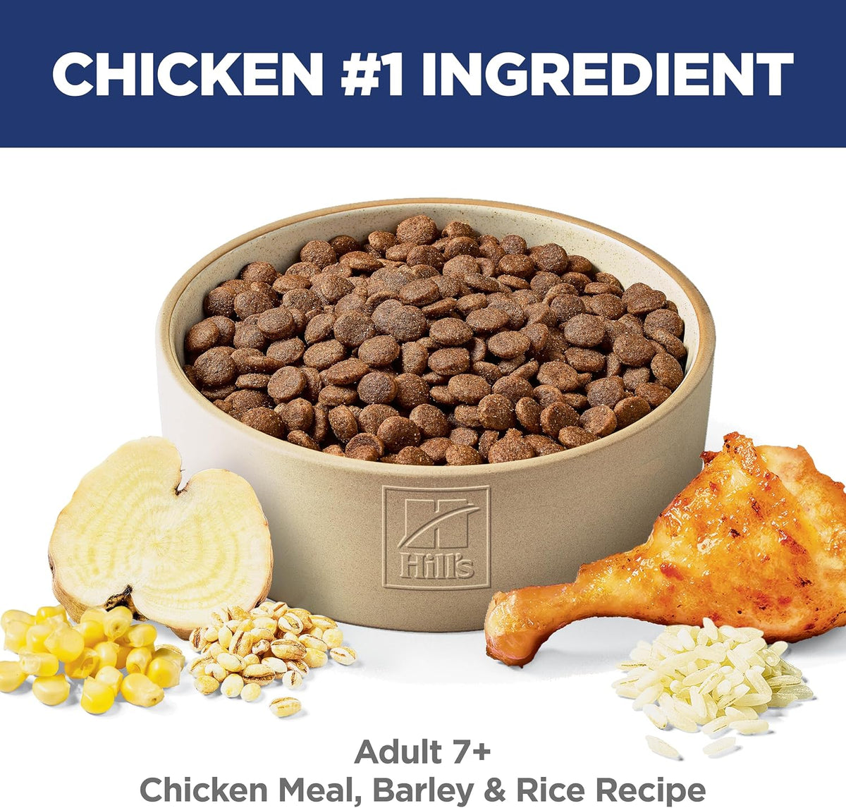 Adult 7+ Dry Dog Food