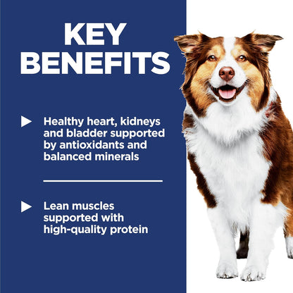 Adult 7+ Dry Dog Food