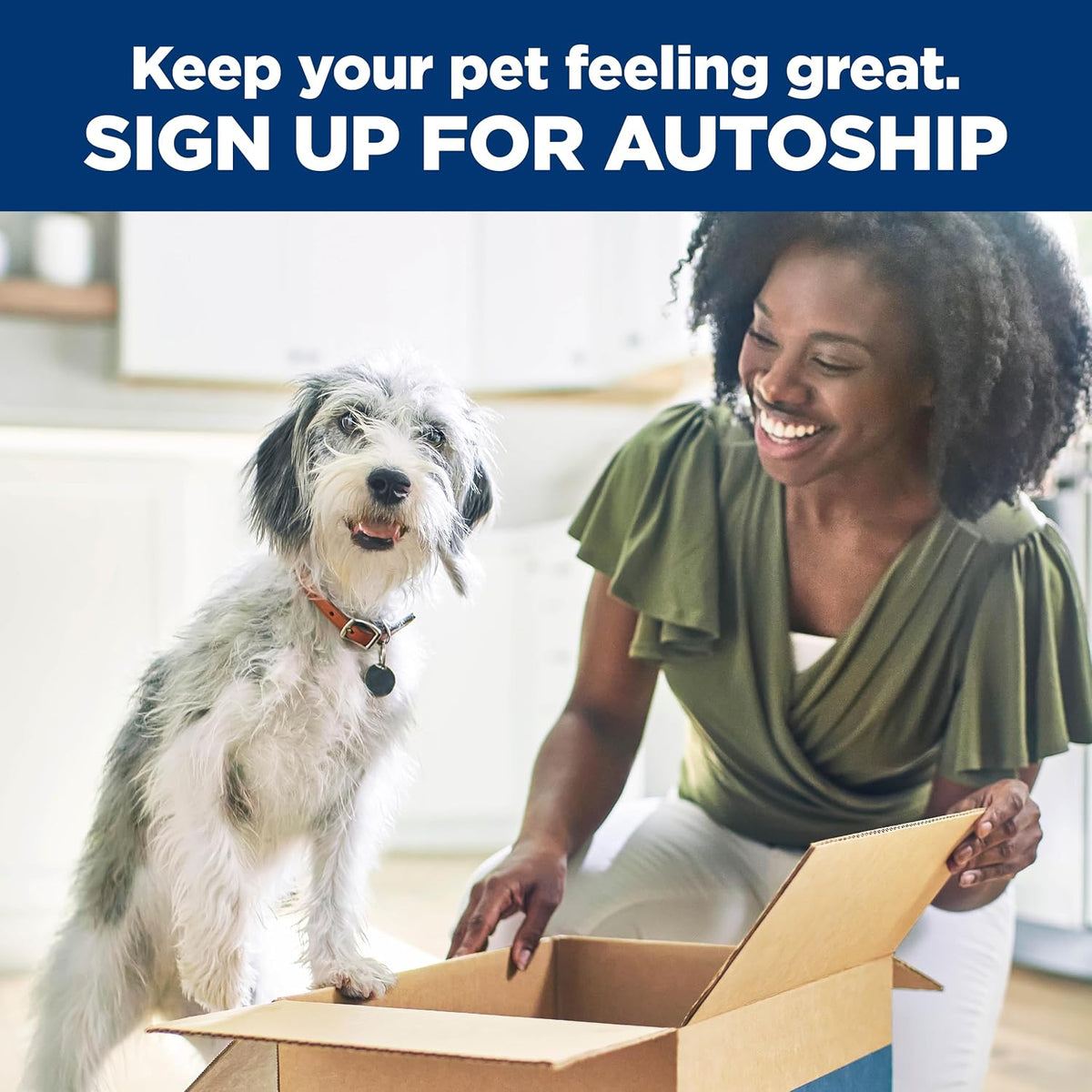 Adult 7+ Dry Dog Food