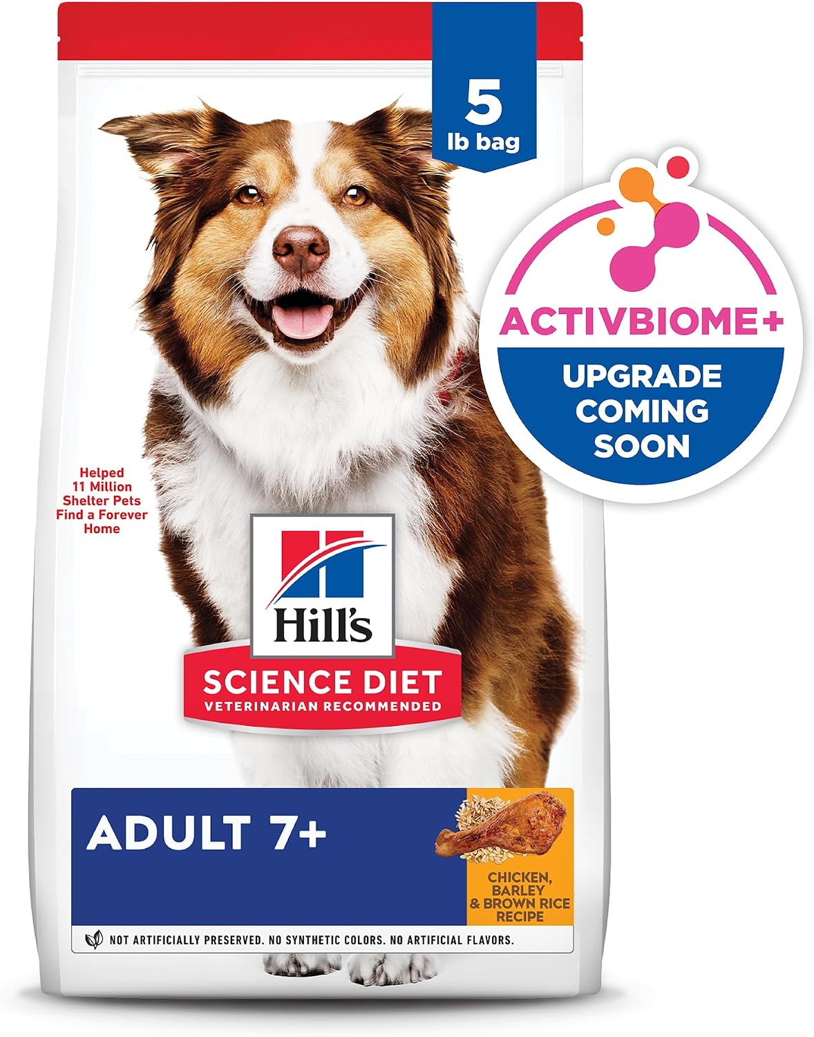 Adult 7+ Dry Dog Food