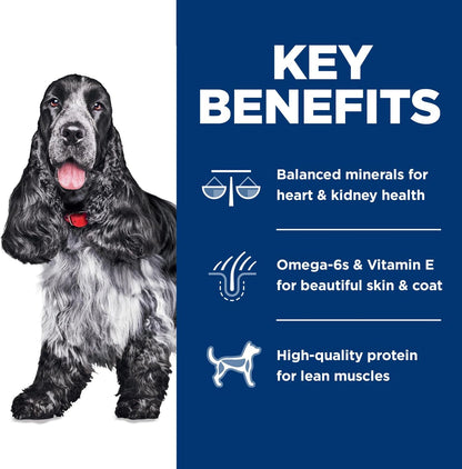 Adult 7+ Dry Dog Food