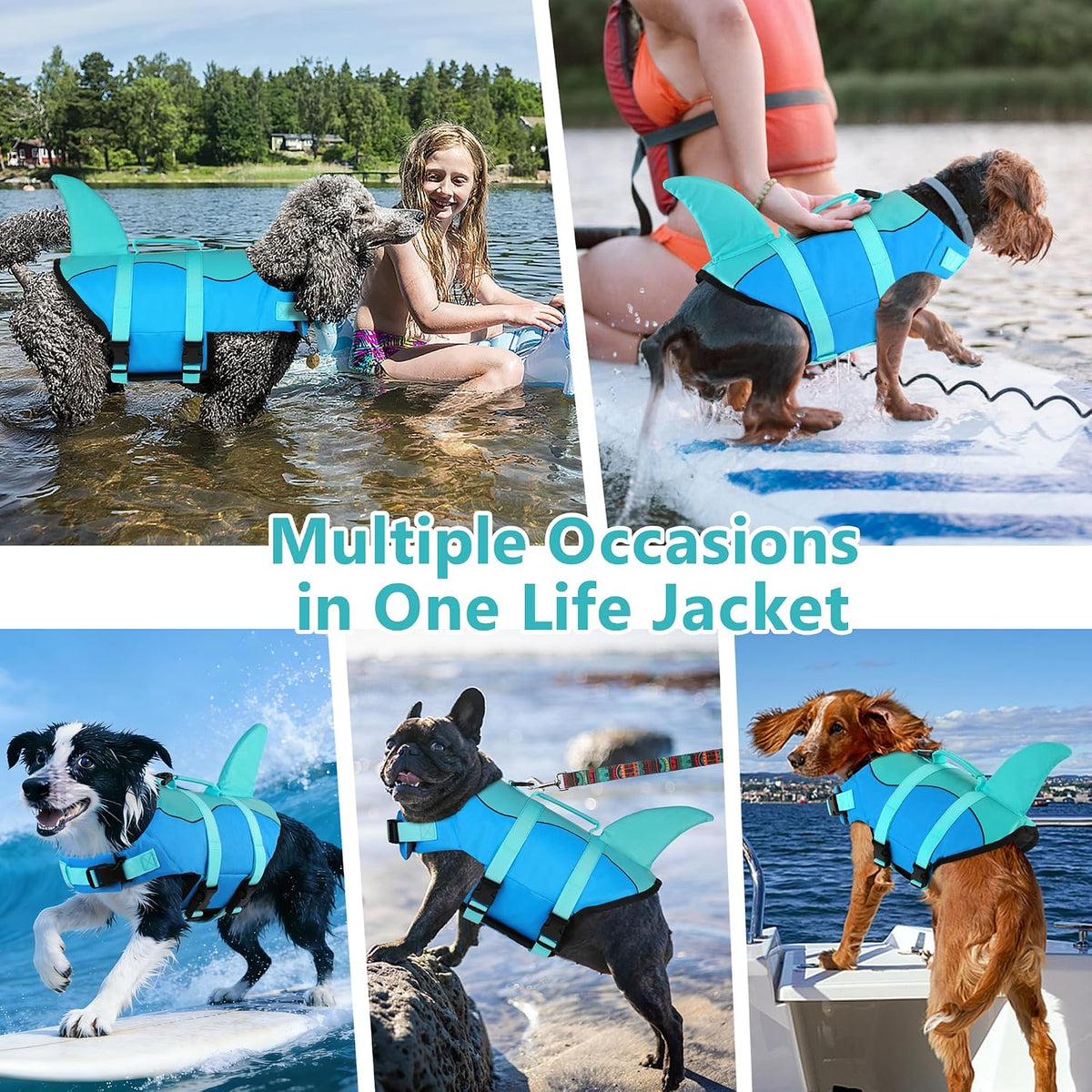 Dog Life Jacket, Cute Shark Dog Life Vest for Swimming Boating with Superior Buoyancy and Rescue Handle, Adjustable Puppy Floating Swim Vest for Small Medium Large Dogs - Pool Blue, M