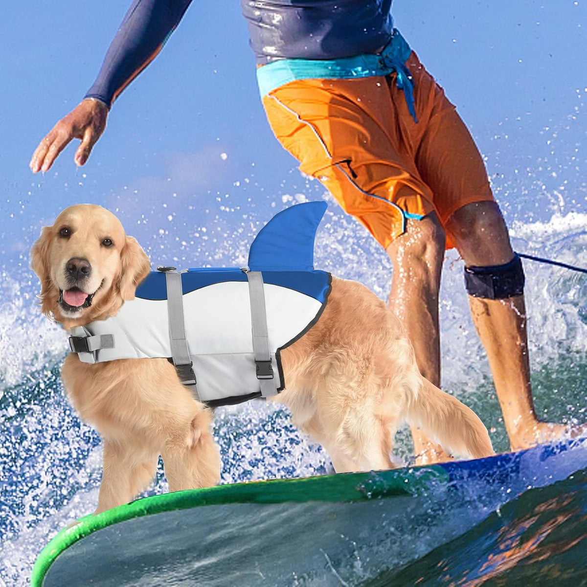 Dog Life Jacket, Cute Shark Dog Life Vest for Swimming Boating with Superior Buoyancy and Rescue Handle, Adjustable Puppy Floating Swim Vest for Small Medium Large Dogs - Pool Blue, M