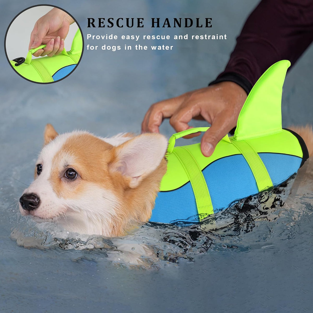 Dog Life Jacket, Cute Shark Dog Life Vest for Swimming Boating with Superior Buoyancy and Rescue Handle, Adjustable Puppy Floating Swim Vest for Small Medium Large Dogs - Pool Blue, M