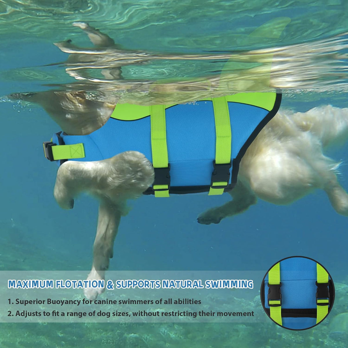 Dog Life Jacket, Cute Shark Dog Life Vest for Swimming Boating with Superior Buoyancy and Rescue Handle, Adjustable Puppy Floating Swim Vest for Small Medium Large Dogs - Pool Blue, M