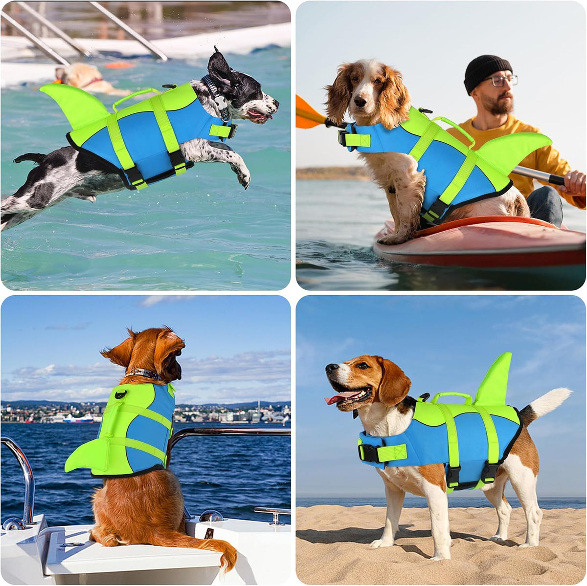 Dog Life Jacket, Cute Shark Dog Life Vest for Swimming Boating with Superior Buoyancy and Rescue Handle, Adjustable Puppy Floating Swim Vest for Small Medium Large Dogs - Pool Blue, M