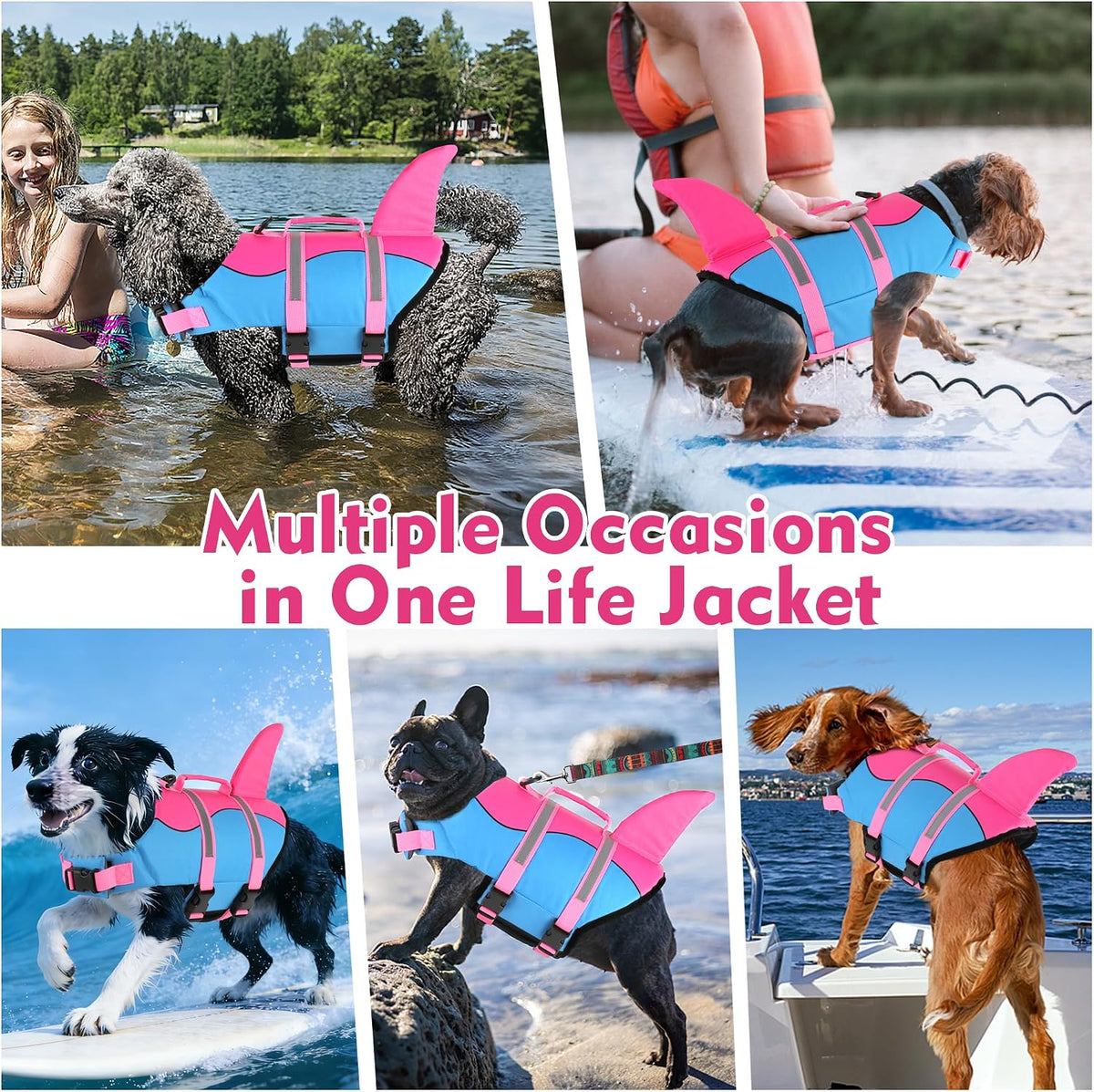 Dog Life Jacket, Cute Shark Dog Life Vest for Swimming Boating with Superior Buoyancy and Rescue Handle, Adjustable Puppy Floating Swim Vest for Small Medium Large Dogs - Pool Blue, M