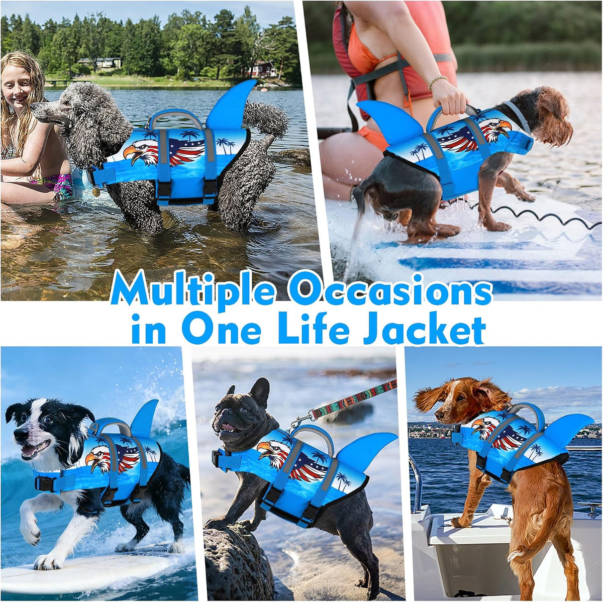 Dog Life Jacket, Cute Shark Dog Life Vest for Swimming Boating with Superior Buoyancy and Rescue Handle, Adjustable Puppy Floating Swim Vest for Small Medium Large Dogs - Pool Blue, M