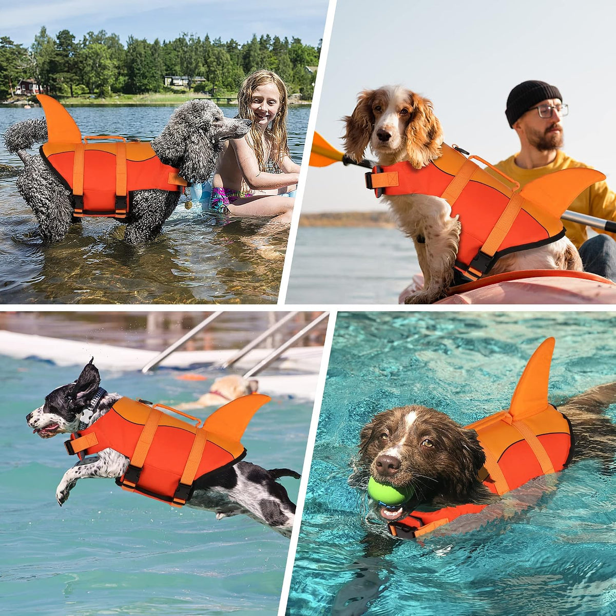 Dog Life Jacket, Cute Shark Dog Life Vest for Swimming Boating with Superior Buoyancy and Rescue Handle, Adjustable Puppy Floating Swim Vest for Small Medium Large Dogs - Pool Blue, M