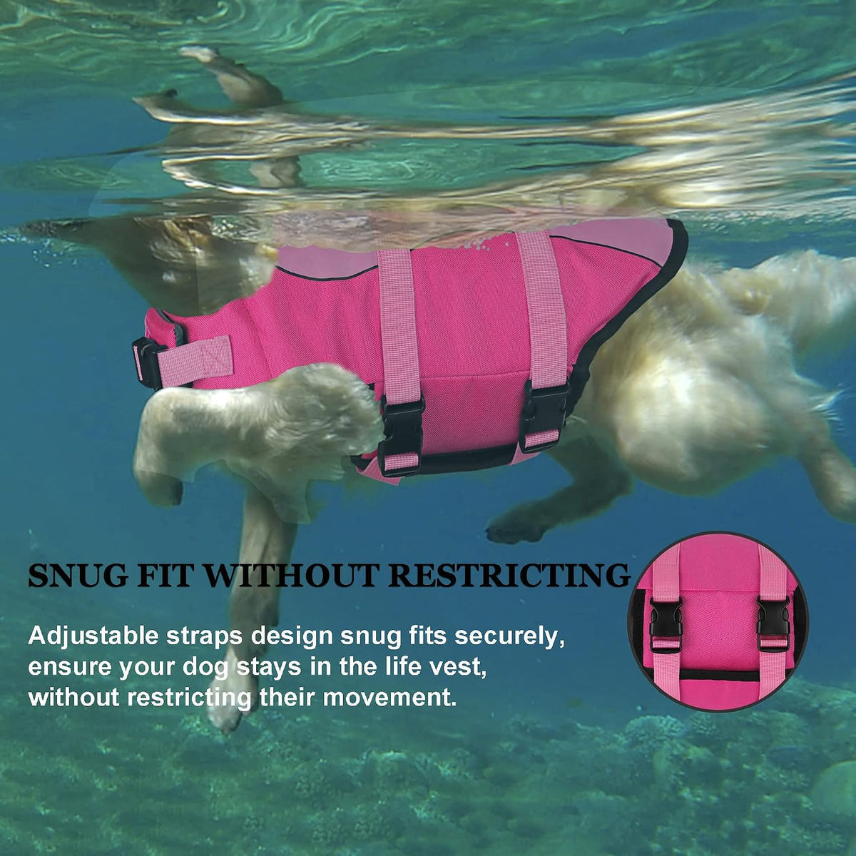 Dog Life Jacket, Cute Shark Dog Life Vest for Swimming Boating with Superior Buoyancy and Rescue Handle, Adjustable Puppy Floating Swim Vest for Small Medium Large Dogs - Pool Blue, M