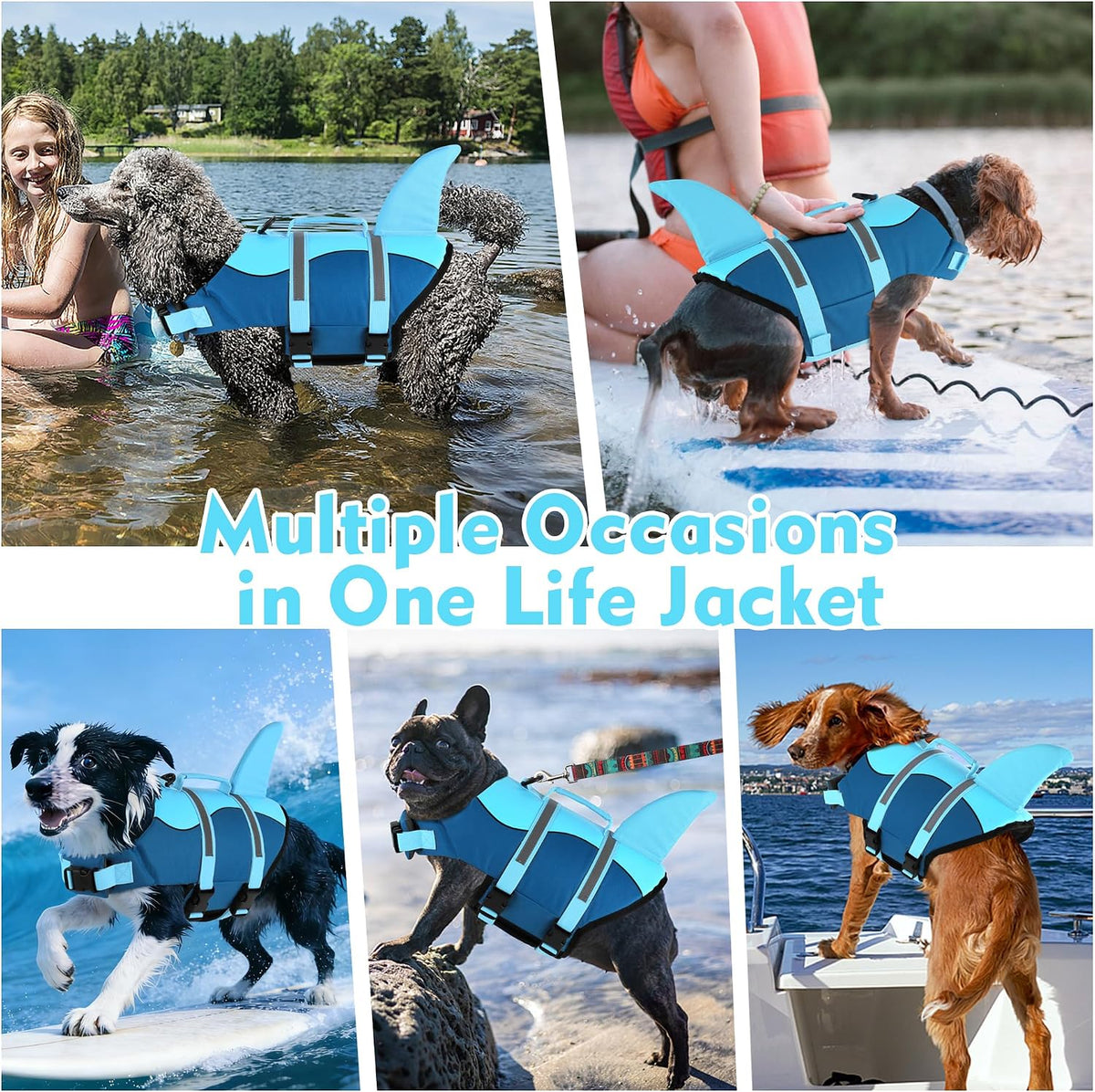 Dog Life Jacket, Cute Shark Dog Life Vest for Swimming Boating with Superior Buoyancy and Rescue Handle, Adjustable Puppy Floating Swim Vest for Small Medium Large Dogs - Pool Blue, M