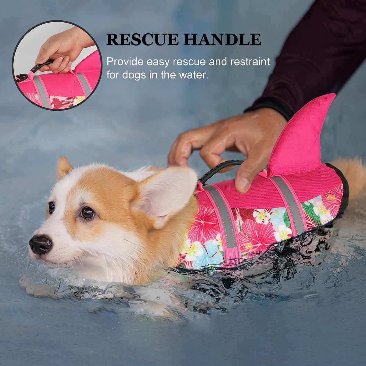 Dog Life Jacket, Cute Shark Dog Life Vest for Swimming Boating with Superior Buoyancy and Rescue Handle, Adjustable Puppy Floating Swim Vest for Small Medium Large Dogs - Pool Blue, M