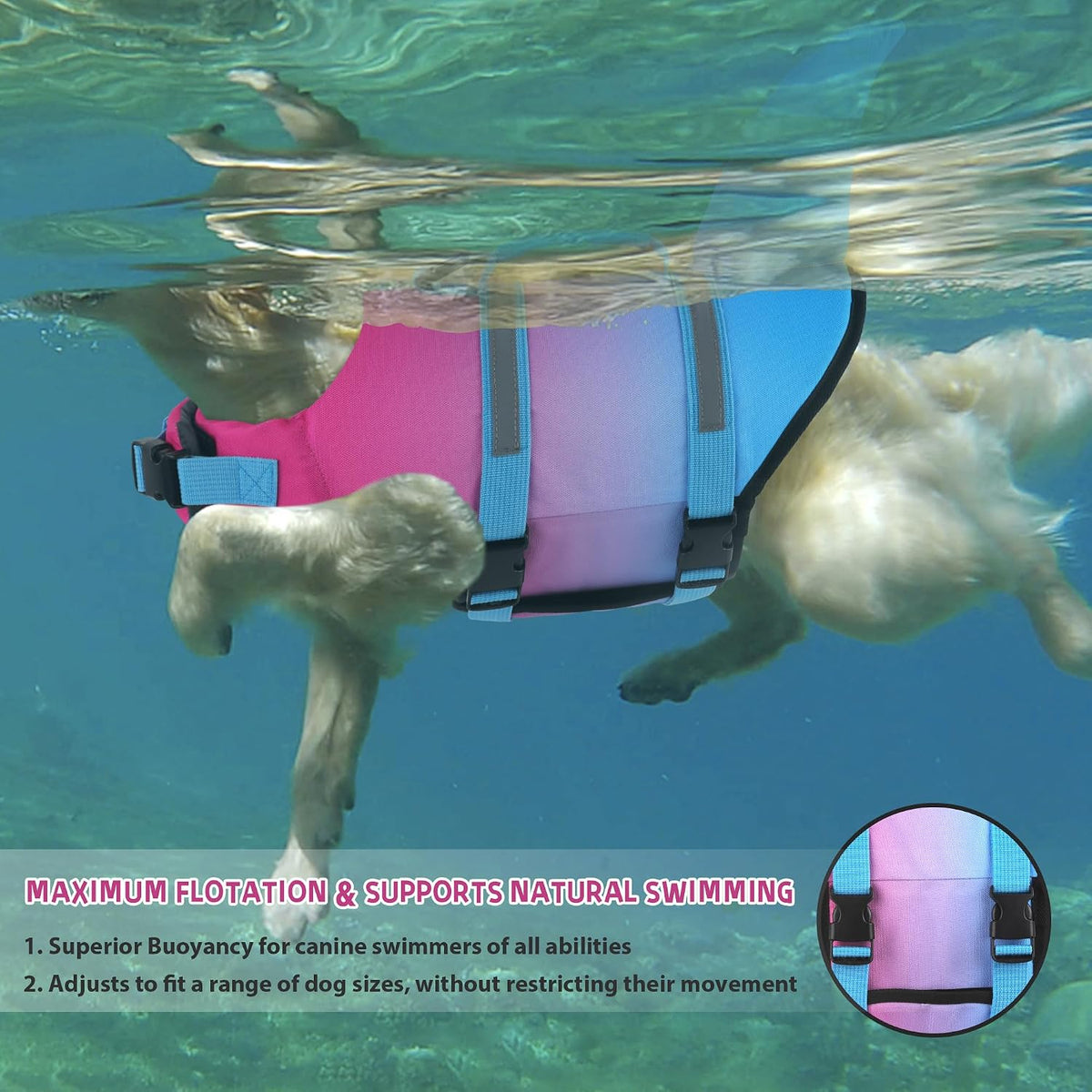 Dog Life Jacket, Cute Shark Dog Life Vest for Swimming Boating with Superior Buoyancy and Rescue Handle, Adjustable Puppy Floating Swim Vest for Small Medium Large Dogs - Pool Blue, M