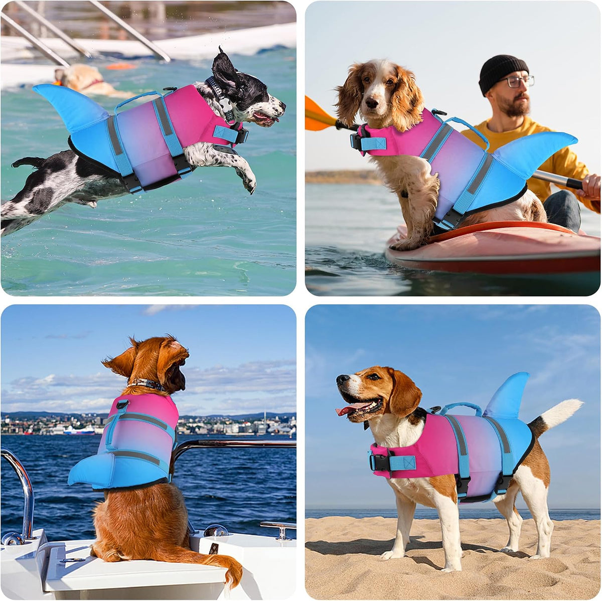 Dog Life Jacket, Cute Shark Dog Life Vest for Swimming Boating with Superior Buoyancy and Rescue Handle, Adjustable Puppy Floating Swim Vest for Small Medium Large Dogs - Pool Blue, M
