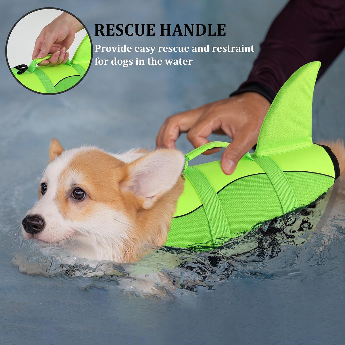 Dog Life Jacket, Cute Shark Dog Life Vest for Swimming Boating with Superior Buoyancy and Rescue Handle, Adjustable Puppy Floating Swim Vest for Small Medium Large Dogs - Pool Blue, M