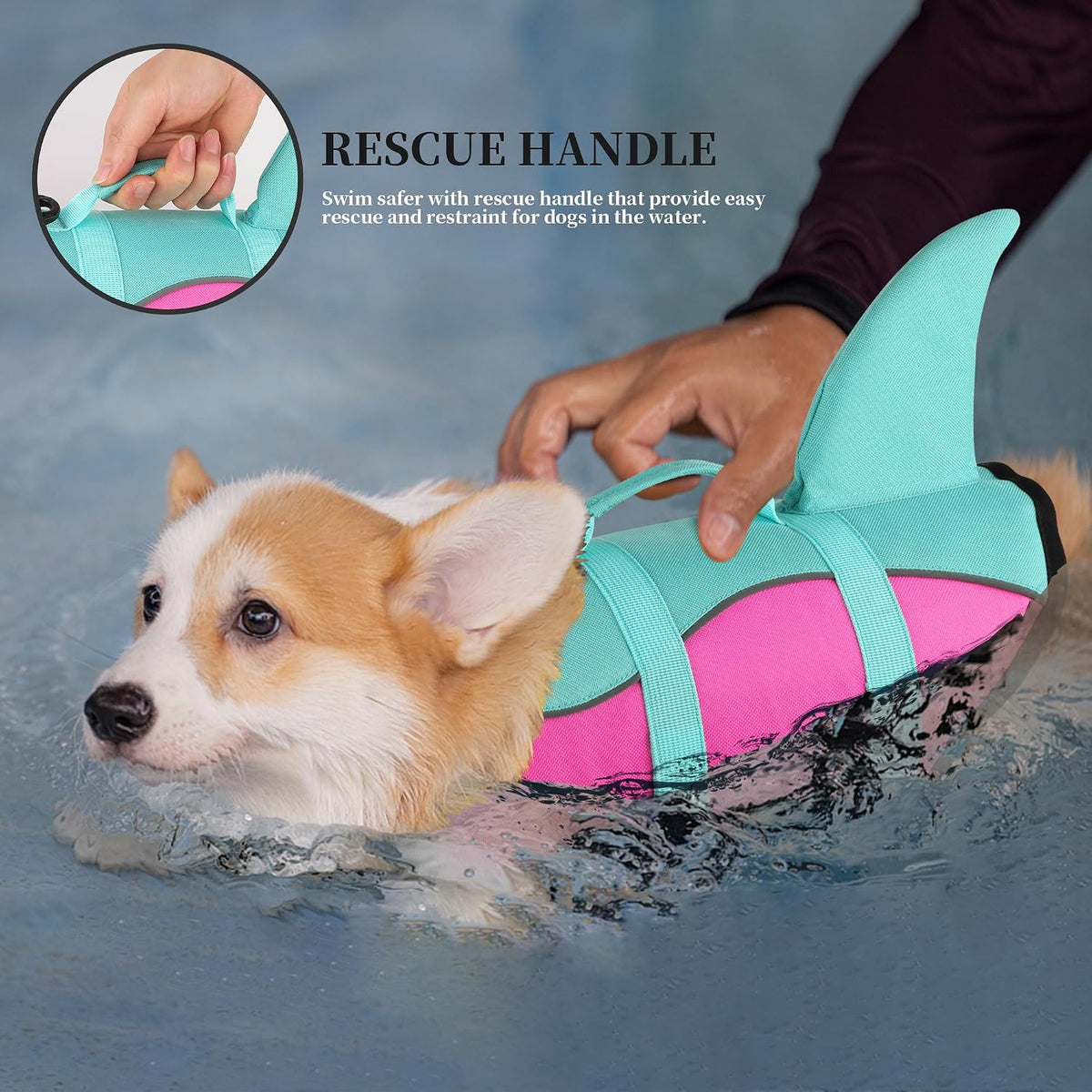 Dog Life Jacket, Cute Shark Dog Life Vest for Swimming Boating with Superior Buoyancy and Rescue Handle, Adjustable Puppy Floating Swim Vest for Small Medium Large Dogs - Pool Blue, M
