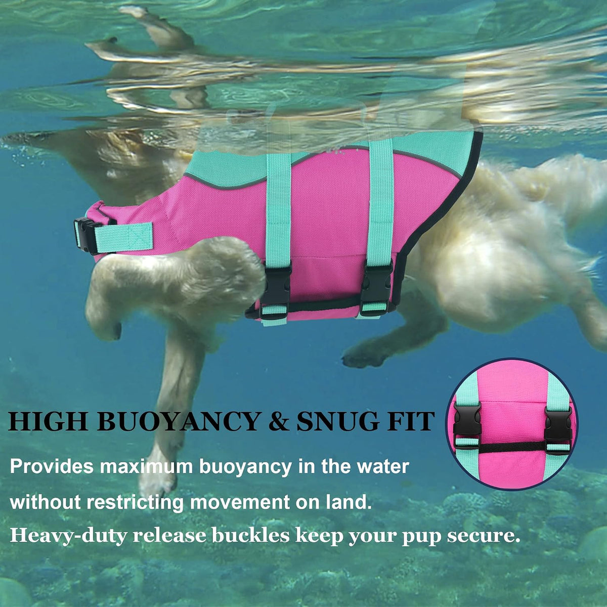 Dog Life Jacket, Cute Shark Dog Life Vest for Swimming Boating with Superior Buoyancy and Rescue Handle, Adjustable Puppy Floating Swim Vest for Small Medium Large Dogs - Pool Blue, M