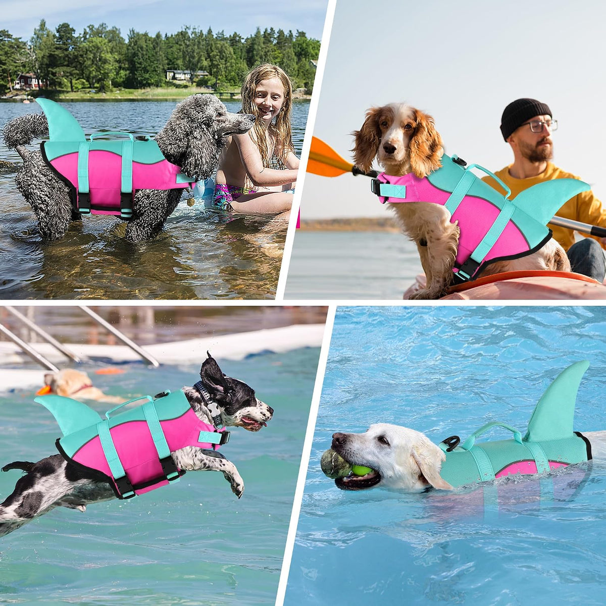Dog Life Jacket, Cute Shark Dog Life Vest for Swimming Boating with Superior Buoyancy and Rescue Handle, Adjustable Puppy Floating Swim Vest for Small Medium Large Dogs - Pool Blue, M