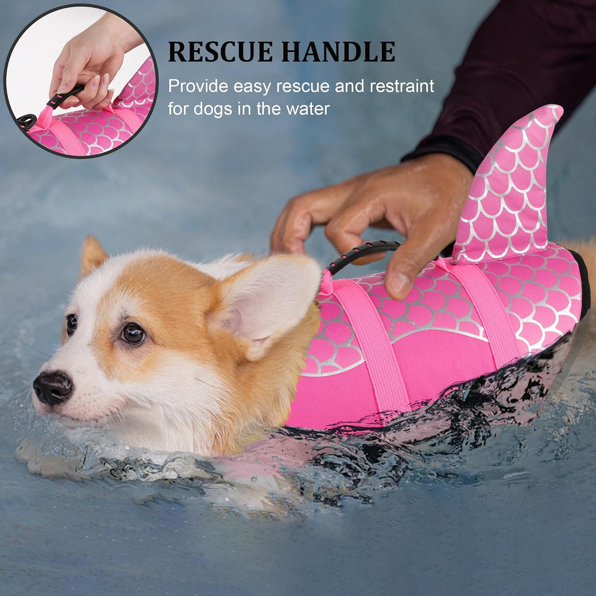 Dog Life Jacket, Cute Shark Dog Life Vest for Swimming Boating with Superior Buoyancy and Rescue Handle, Adjustable Puppy Floating Swim Vest for Small Medium Large Dogs - Pool Blue, M