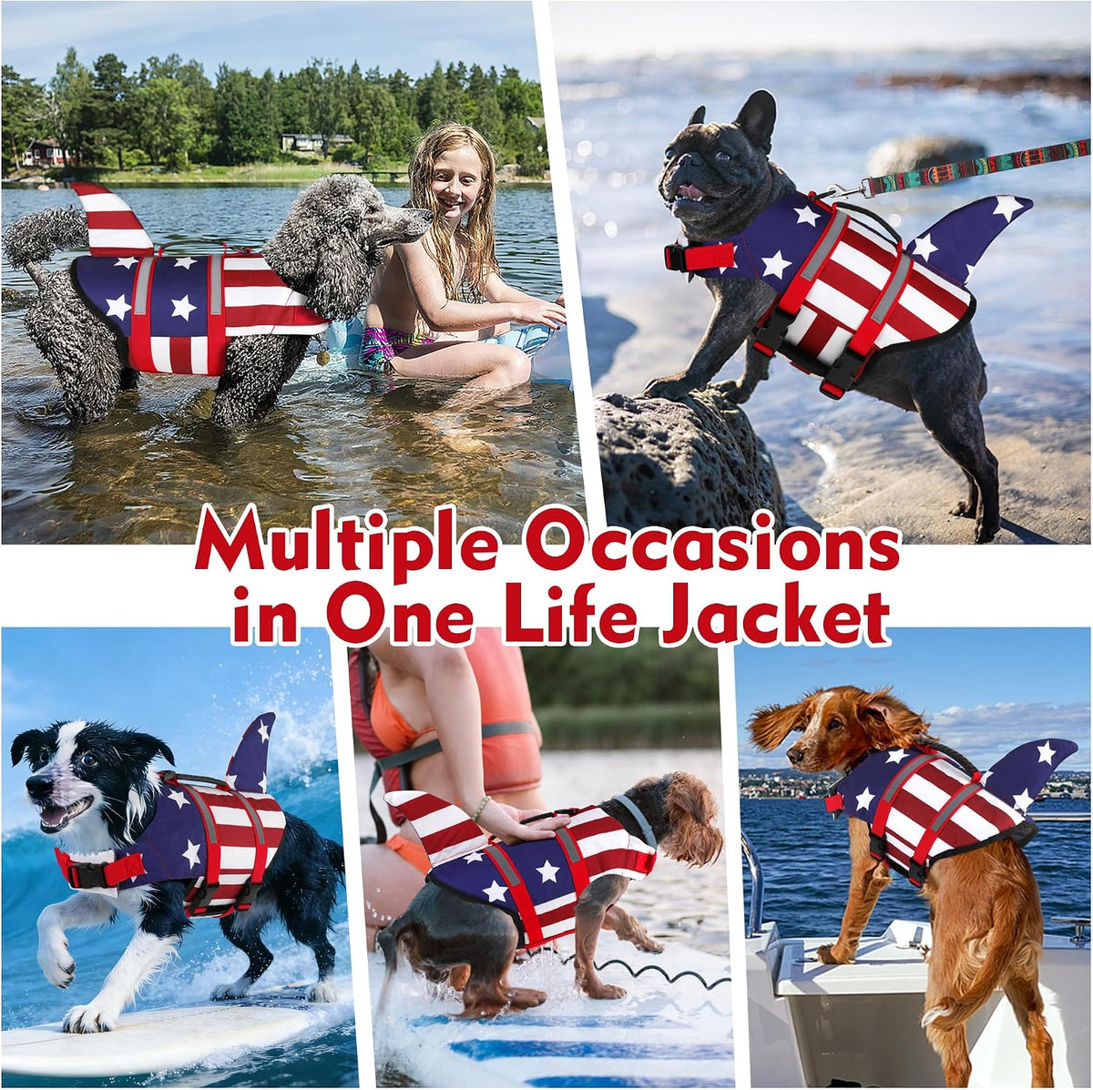 Dog Life Jacket, Cute Shark Dog Life Vest for Swimming Boating with Superior Buoyancy and Rescue Handle, Adjustable Puppy Floating Swim Vest for Small Medium Large Dogs - Pool Blue, M