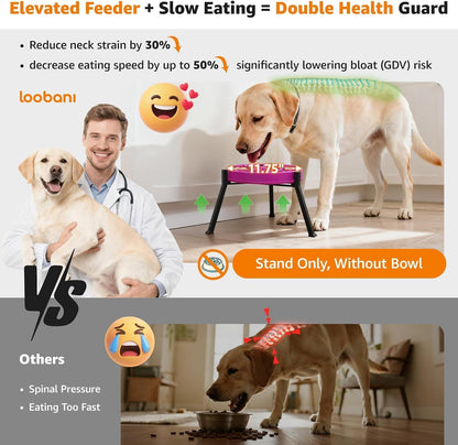 Elevated Dog Bowl Stand Adjustable 8.2"-11" Width for Large Seniors