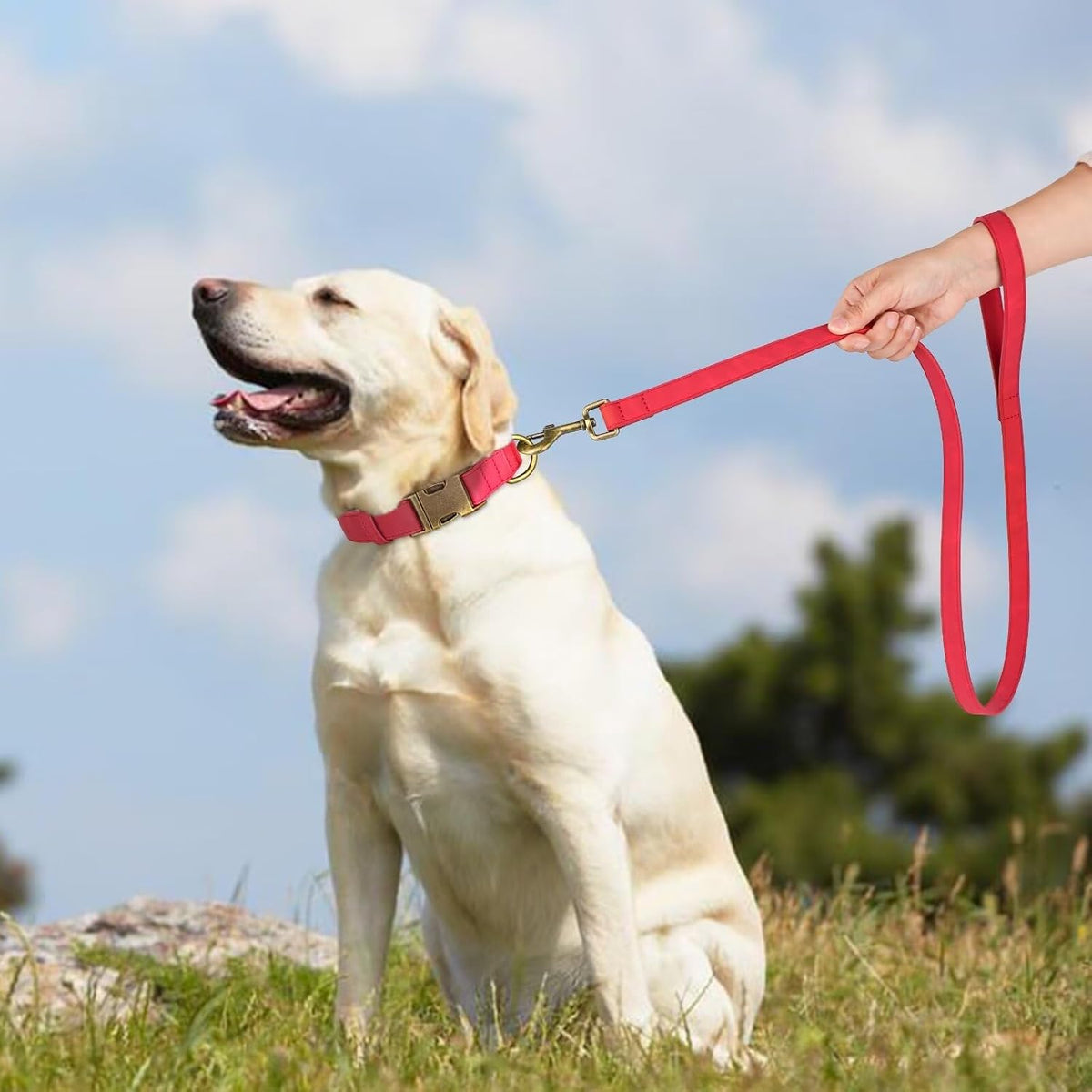 PU Leather Dog Leash for Medium Large Dogs, 3/4in x 5ft, Light Brown