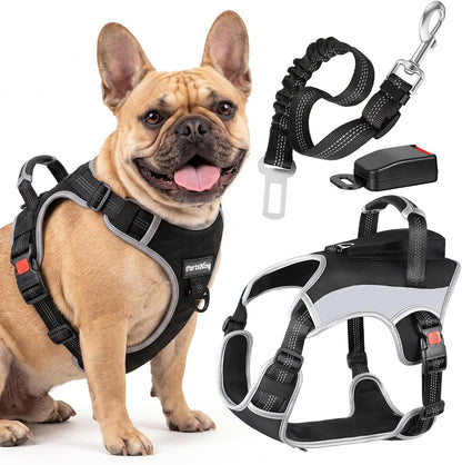 Dog Car Harness, Dog Seat Belt Harness for Car, No Pull Adjustable Dog Harness with Seat Belt Attachment, Breathable Padded Vest with Handle for Walking, Training & Car Travel, M