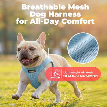 Voyager Step-in Air Dog Vest Harness - Moss Green, Medium | 16 - 18" in Chest, Reflective Bands, All Weather Breathable Air Mesh, Cats Compatible, Lightweight, Fast Drying - Colors B