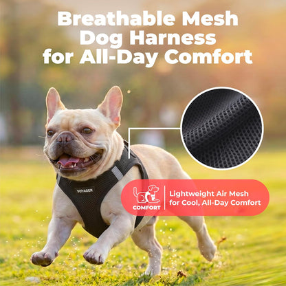 Voyager Step-in Air Dog Vest Harness - Moss Green, Medium | 16 - 18" in Chest, Reflective Bands, All Weather Breathable Air Mesh, Cats Compatible, Lightweight, Fast Drying - Colors B