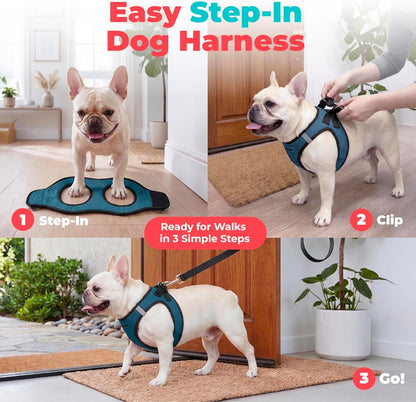 Voyager Step-in Air Dog Vest Harness - Moss Green, Medium | 16 - 18" in Chest, Reflective Bands, All Weather Breathable Air Mesh, Cats Compatible, Lightweight, Fast Drying - Colors B