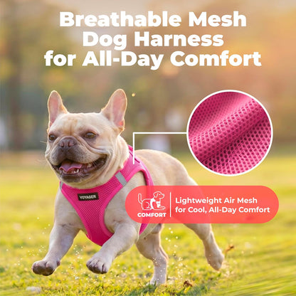 Voyager Step-in Air Dog Vest Harness - Moss Green, Medium | 16 - 18" in Chest, Reflective Bands, All Weather Breathable Air Mesh, Cats Compatible, Lightweight, Fast Drying - Colors B