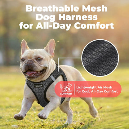 Voyager Step-in Air Dog Vest Harness - Moss Green, Medium | 16 - 18" in Chest, Reflective Bands, All Weather Breathable Air Mesh, Cats Compatible, Lightweight, Fast Drying - Colors B